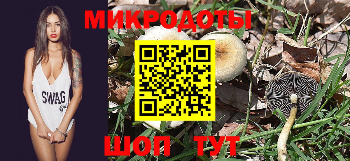 Псилоцибиновые грибы мицелий Лениногорск